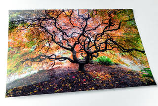 Fuji Flex Super Gloss Silver Halide Fine Art Print