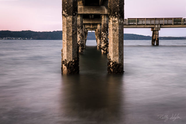 Dash Point Pier
