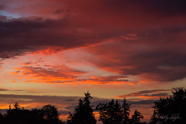 Sunset Dreaming