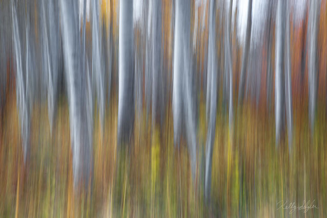 Abstract Aspens