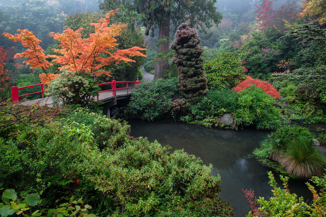 Garden of Tranquility