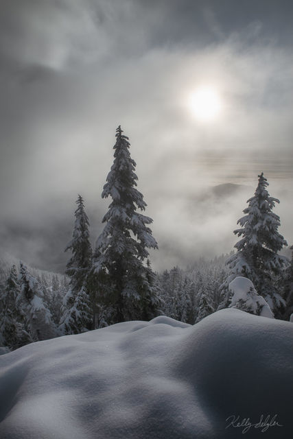 Winter Mood