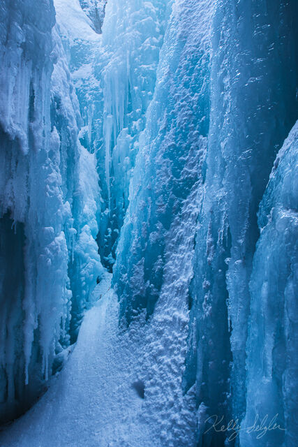 Frozen In Time
