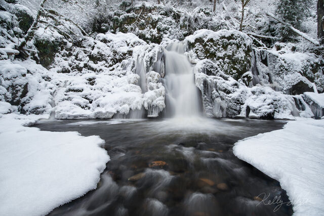 Winter Dreams