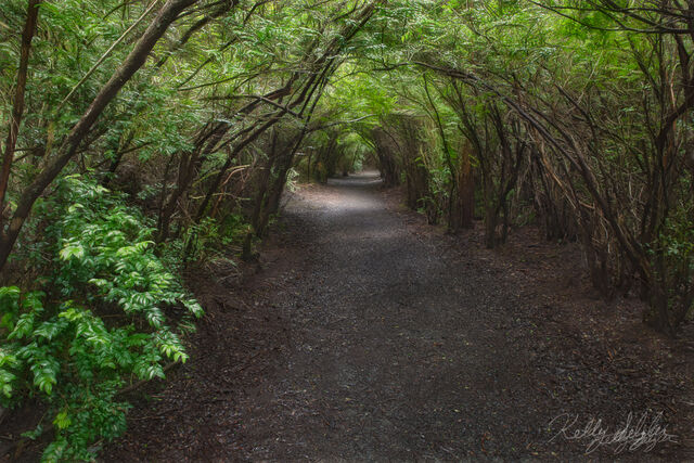 Tunnel