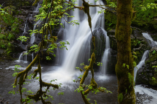 Mossy Falls