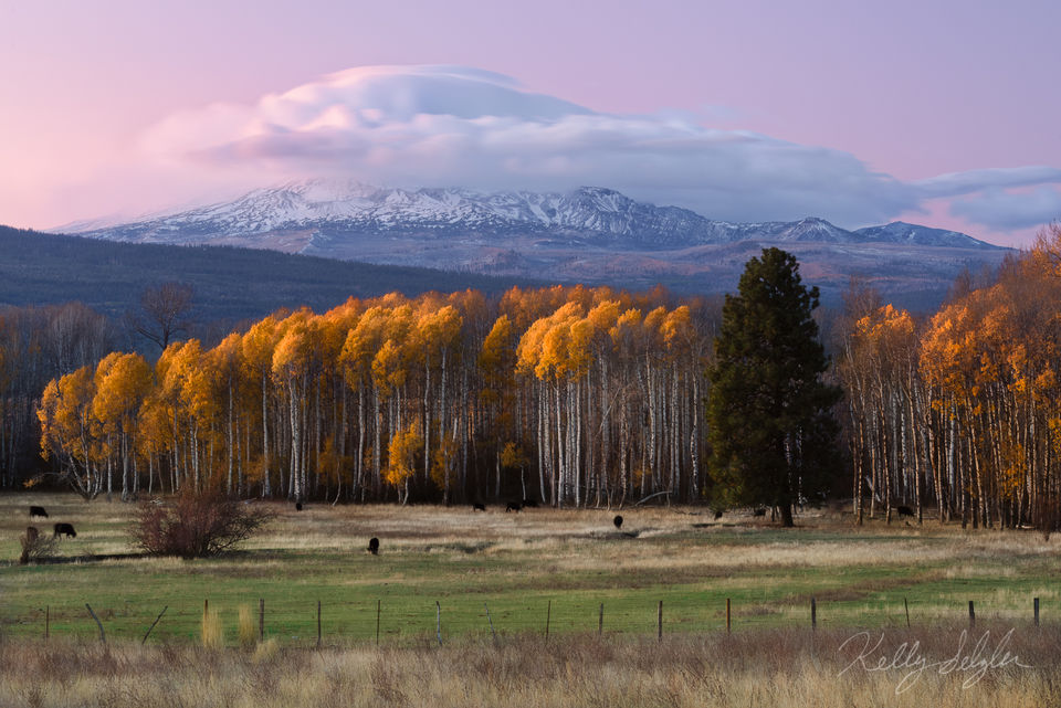 Mt. Adams Glow