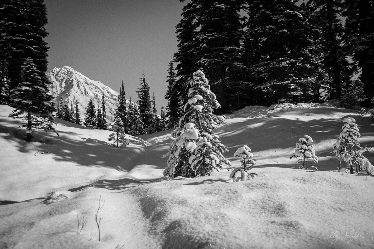 An unexpected amount of snow prevented me from getting to my ultimate destination, but this was the only destination I needed...