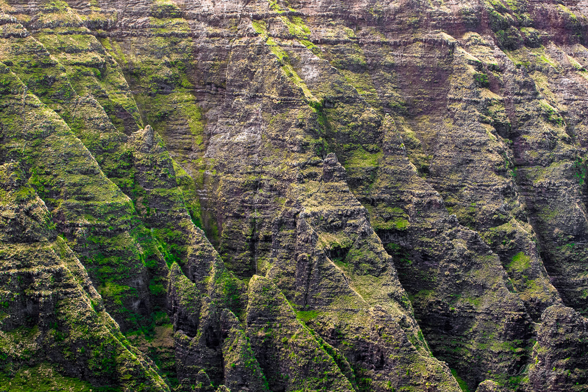 The view at the end of this hike was stunning. The ocean and cliffs on Kauai are unreal. I zoomed in to capture the lushness...