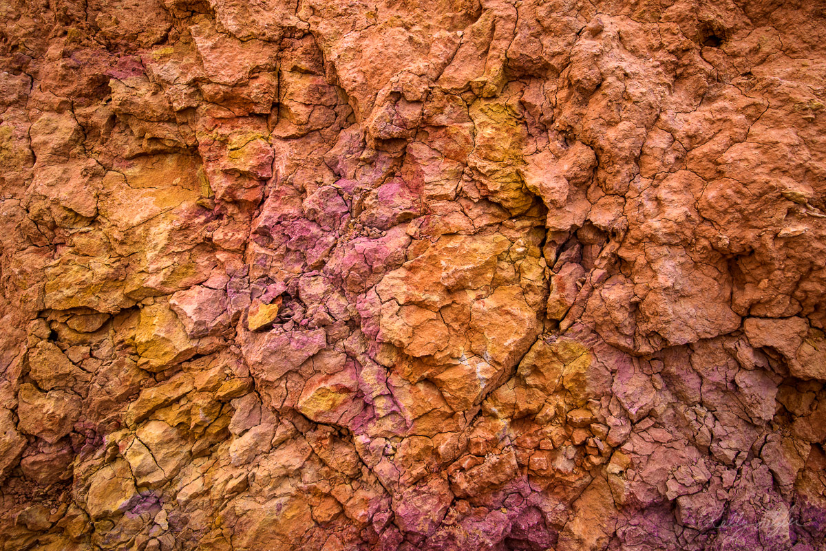 While hiking on the amazing trails in Bryce Canyon, I started noticing how some of the rock had some amazing colors of reds...