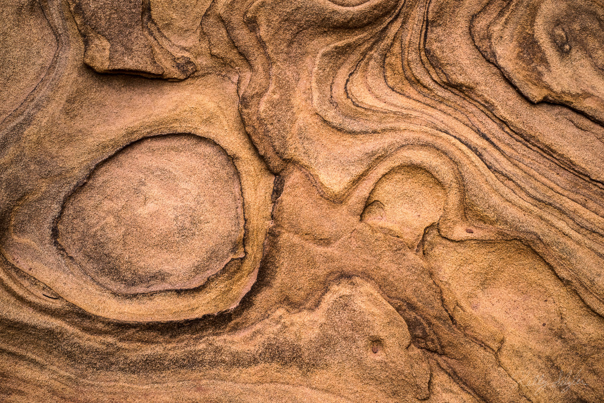 While hiking in Capitol Reef National Park, I noticed this huge rock that had patterns on it that were so striking. It's so amazing...