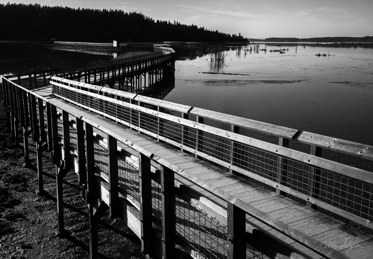 This beautiful boardwalk goes on forever, allowing people to see such beauty in the Fort Nisqually Wildlife Refuge.