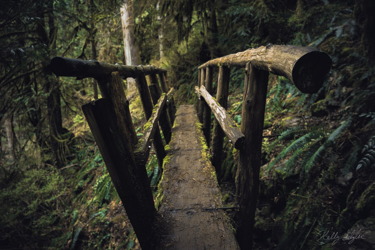 As I was getting ready to cross this little footbridge, it made me stop and think. Life is a journey. It can be a challenge and...