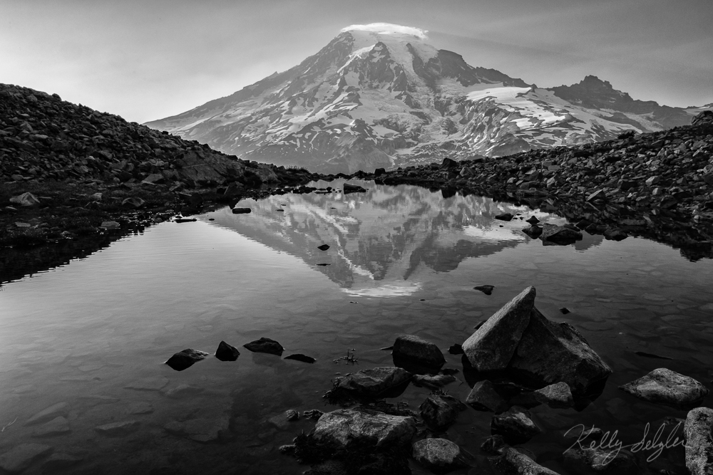 A perfect spot to view Mt. Rainier at its finest.