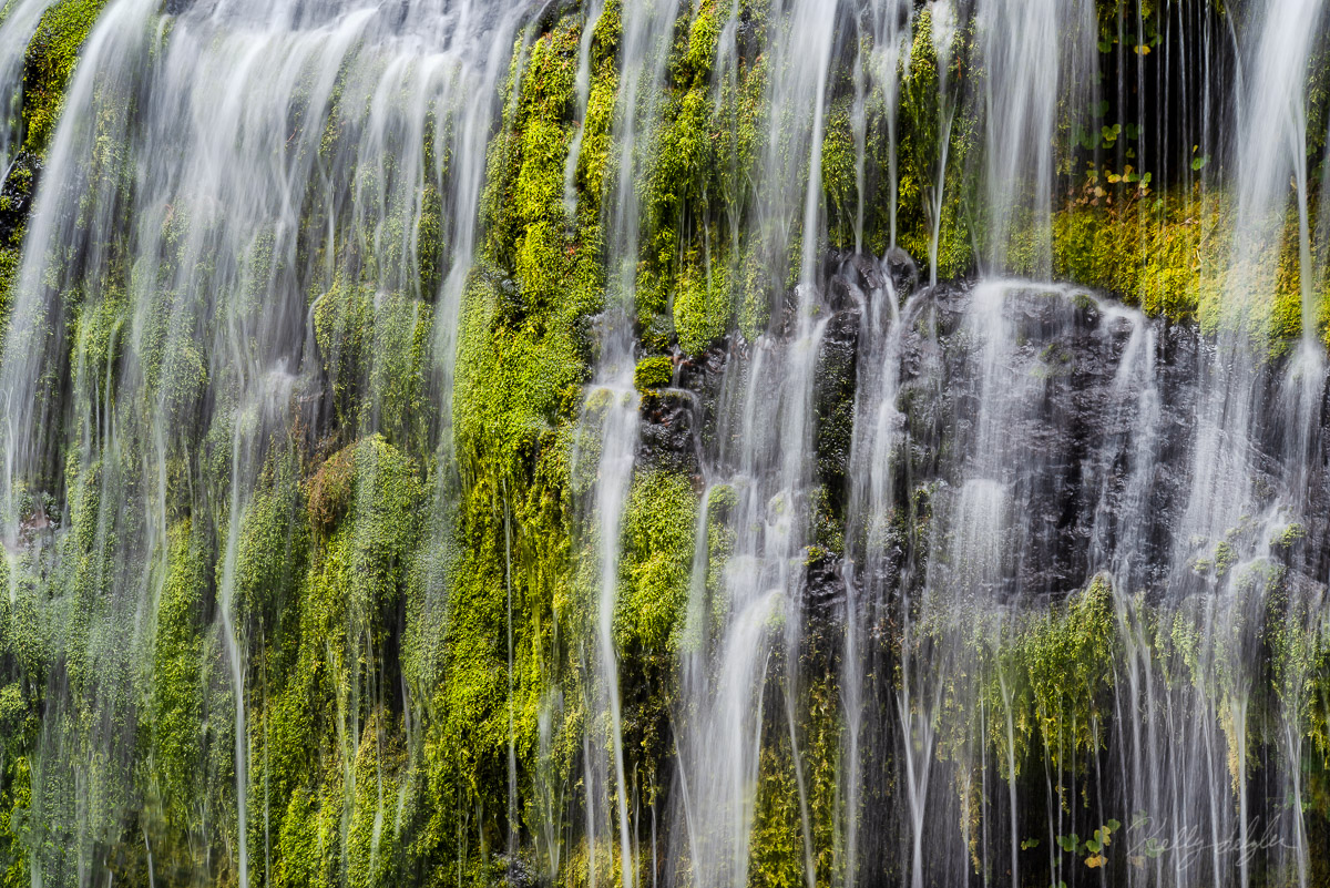 A loved how this small amount of water streaming over the moss created such a scene of serenity.