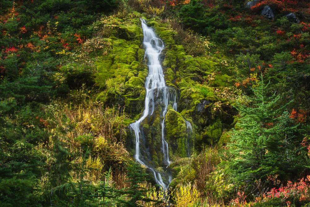 Fall hikes in Mt. Rainier National Park blaze with color.