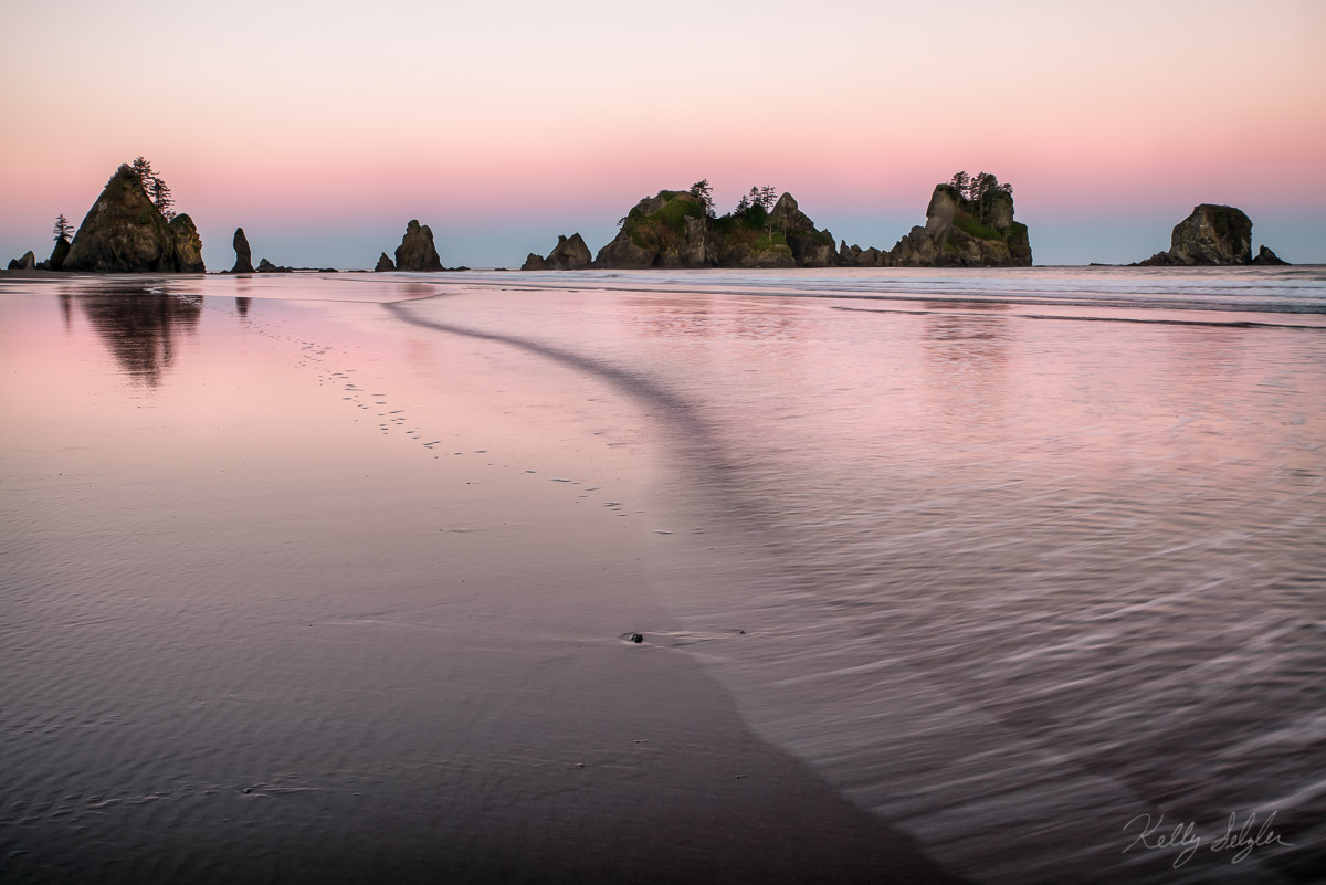 Wanting so badly to sleep in as I was camping on Shi Shi Beach in Washington, I peeked out the tent and saw a gorgeous line of...