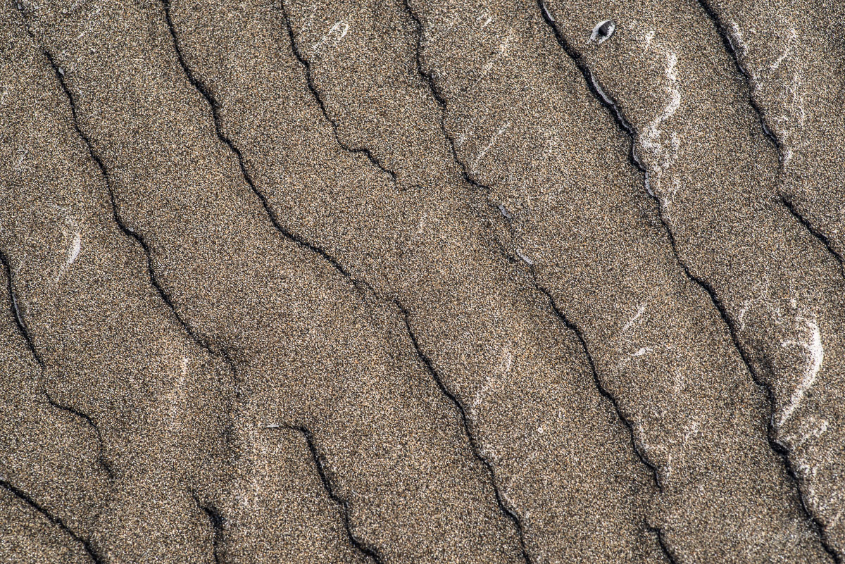 As we were walking back to the trail after a night camping at the ocean, I noticed all kinds of patterns and lines in the sand...