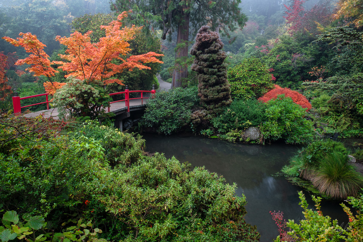I loved this area of the Kubota Gardens in Seattle. There were so many different colors and textures. The fog added some mood...