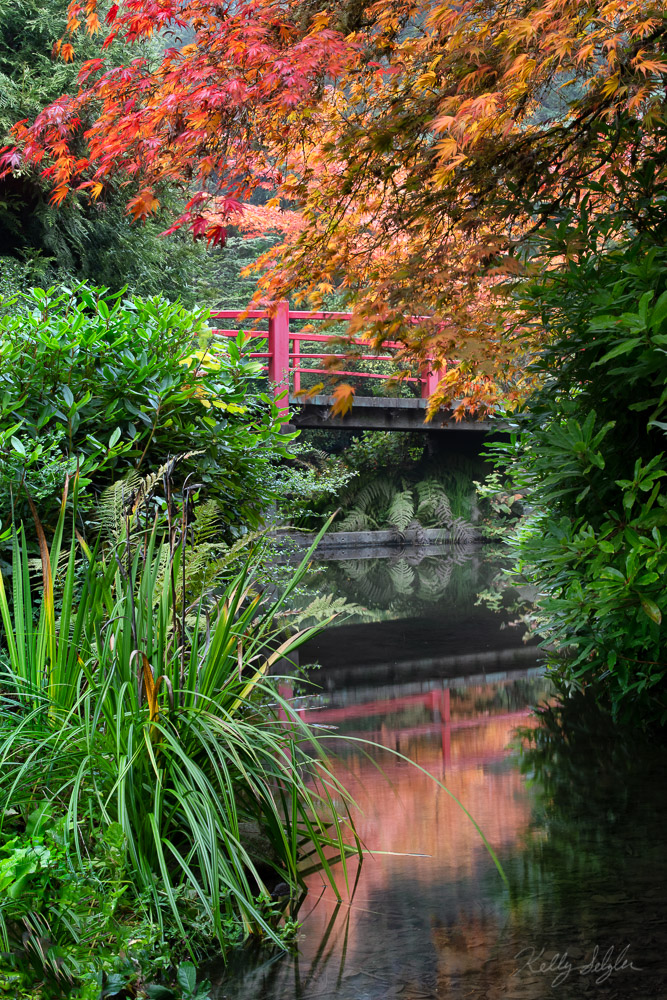 I was fortunate to find this little spot while exploring around Kubota Gardens in Seattle. The fall colors were heavenly.