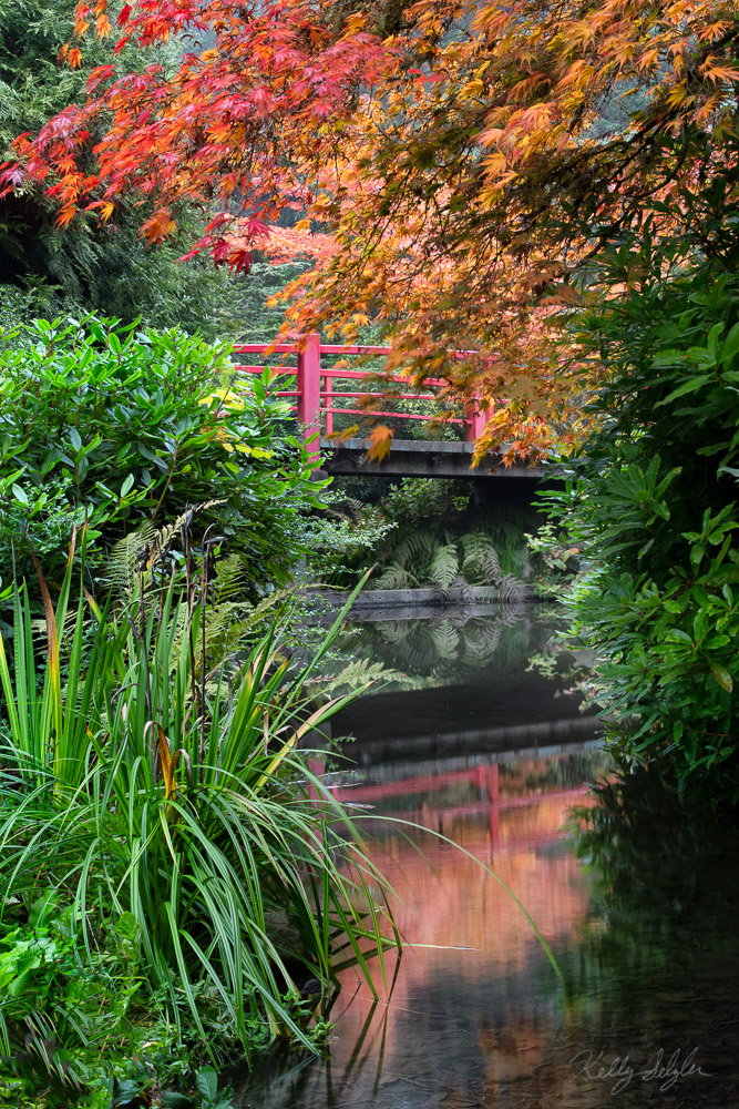 A Time To Relax Kubota Gardens Seattle Wa Kelly Selzler