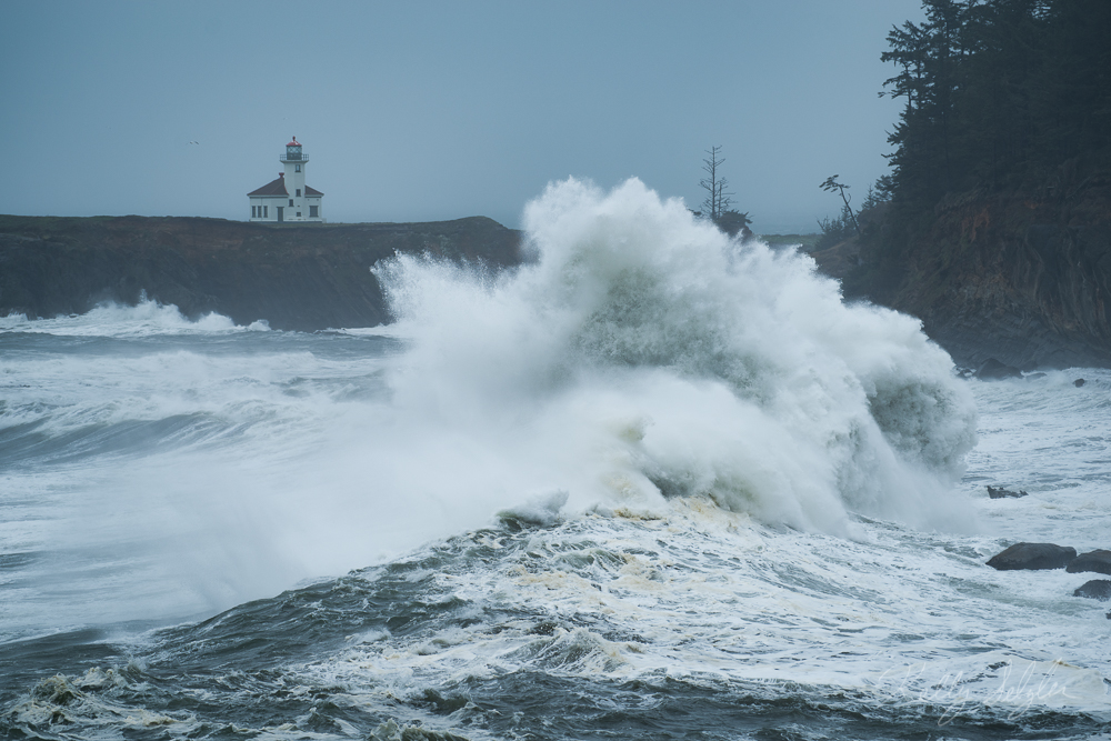 It was a stormy day on the Oregon Coast, making for fabulous high waves.