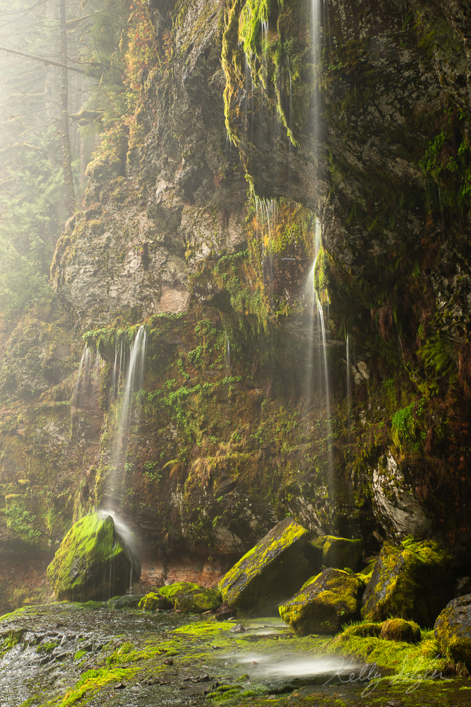 A place I thought only existed in my dreams.