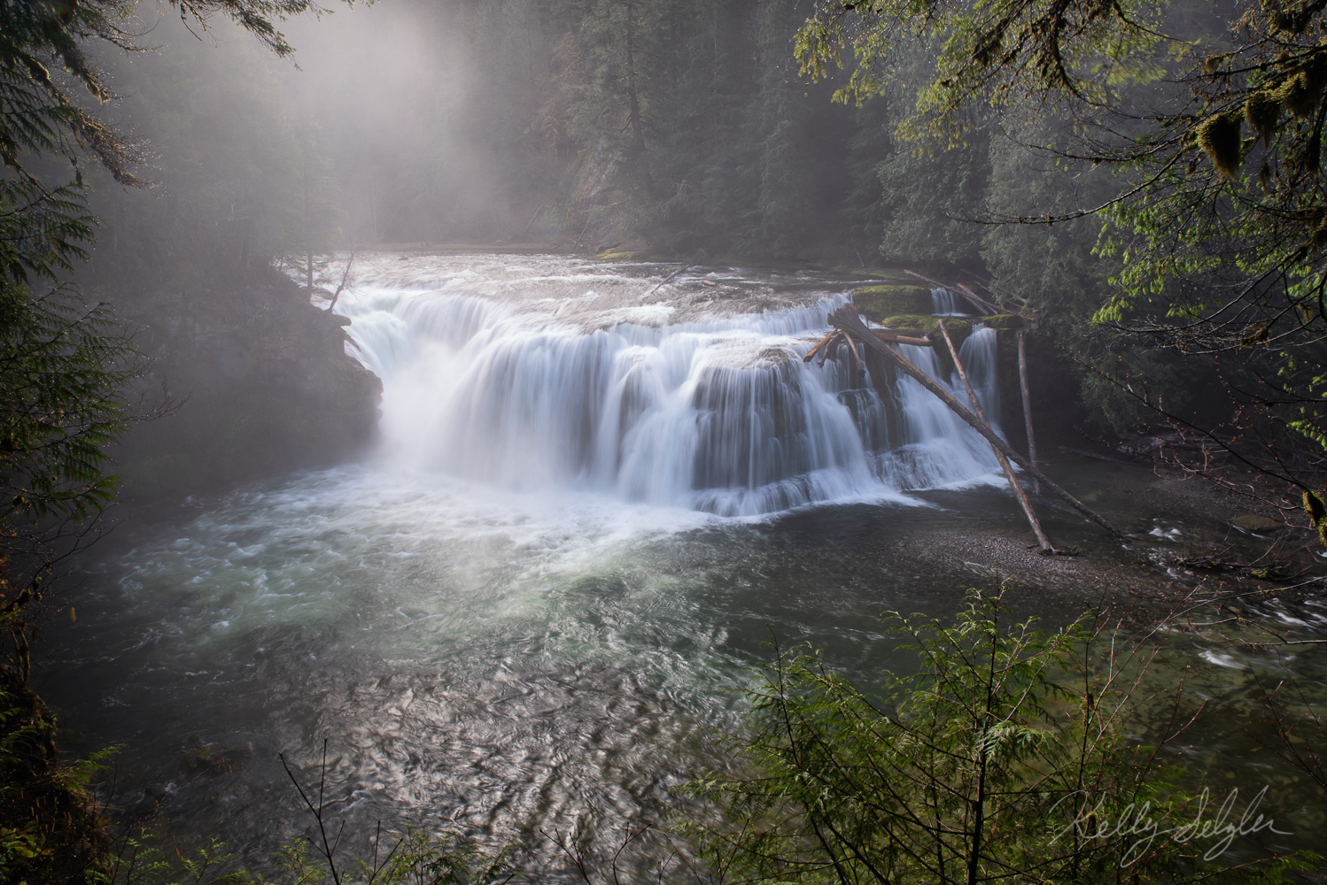 Overlooking Lower Lewis Falls on a gorgeous foggy morning.