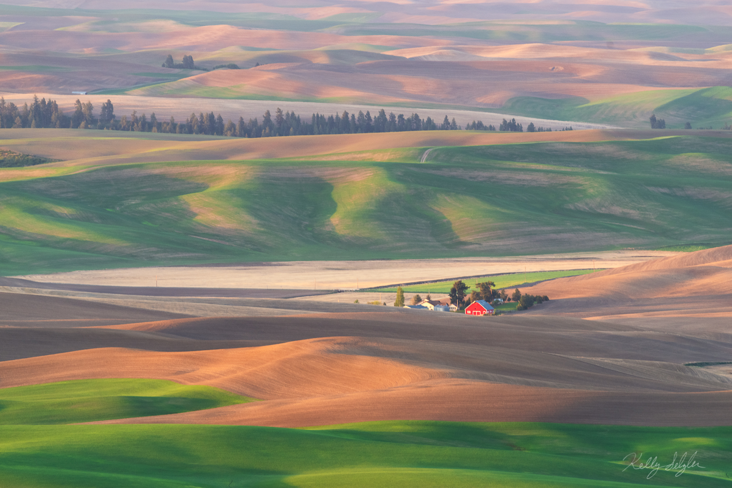 A spectacular morning overlooking The Palouse. This was my first time seeing this unique landscape and it was absolutely breathtaking...