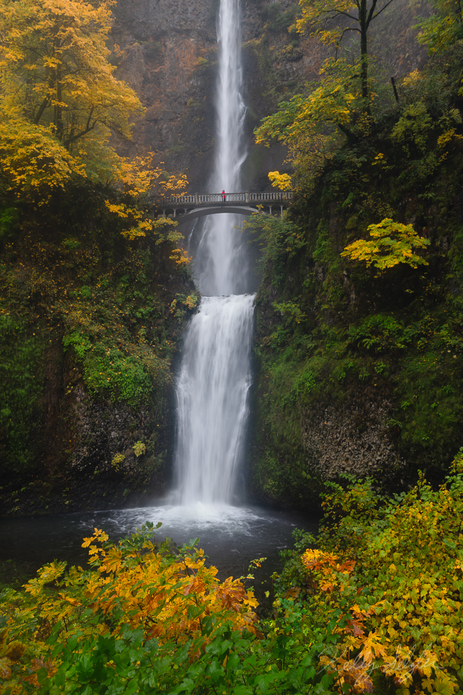 Autumn at Multnomah