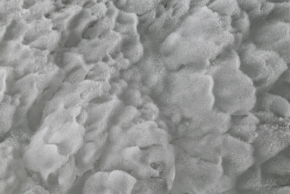 A frozen waterfall revealed some pretty amazing ice patterns.