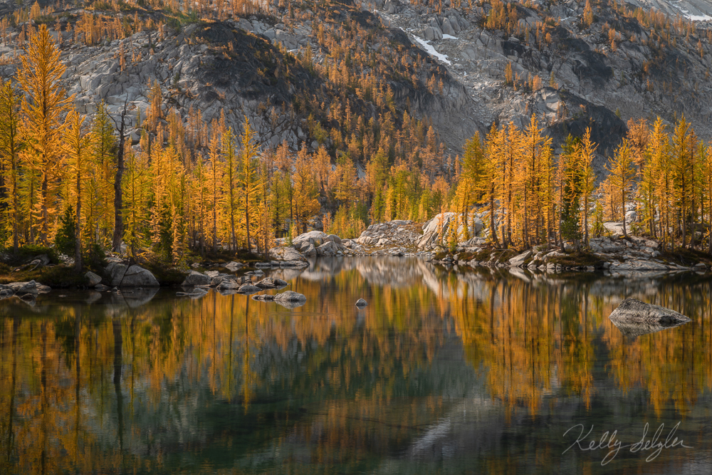 The larches reflecting off this lake in the Enchantments was pure magic.