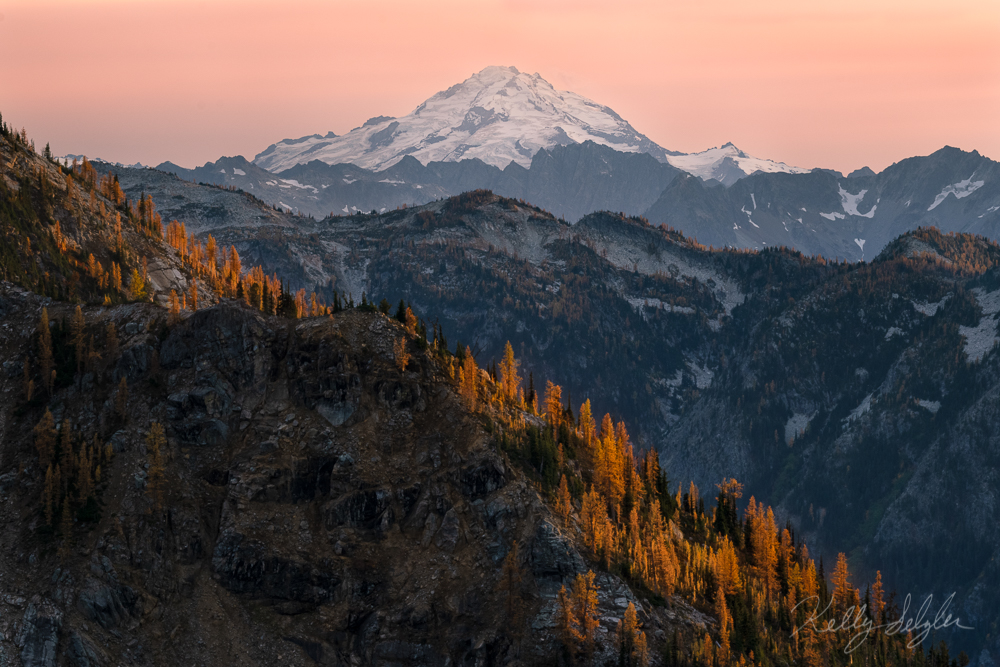 Glacier Peak Larches