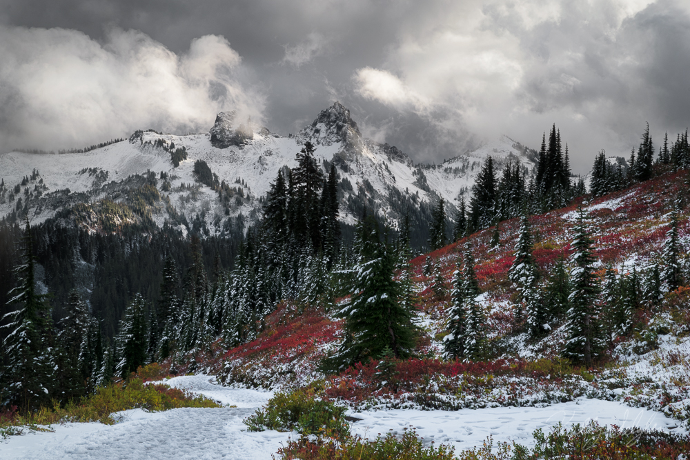 I try to avoid Paradise at Mt. Rainier at all costs due to excessive humans, but a weekday excursion and webcam showing a mostly...