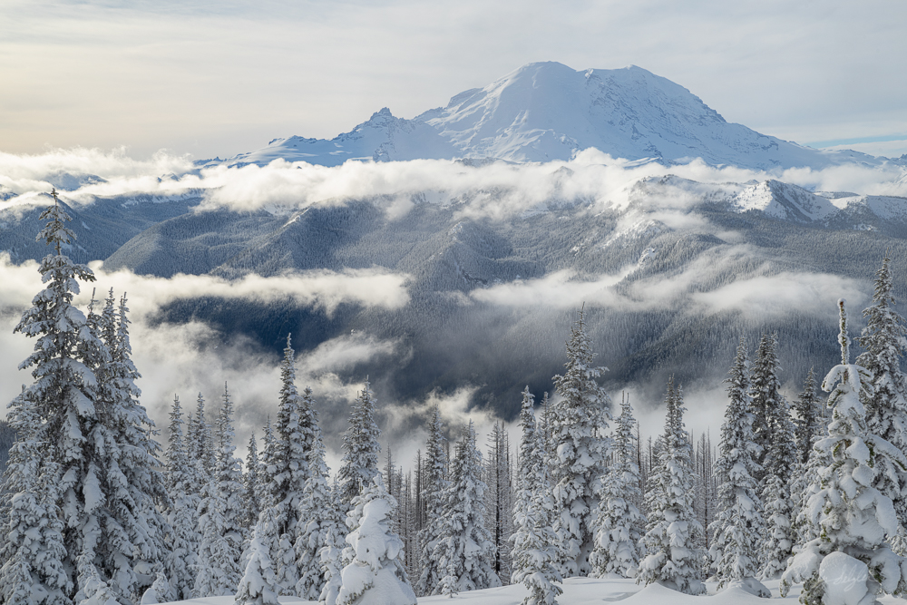 Mt. Rainier Winter