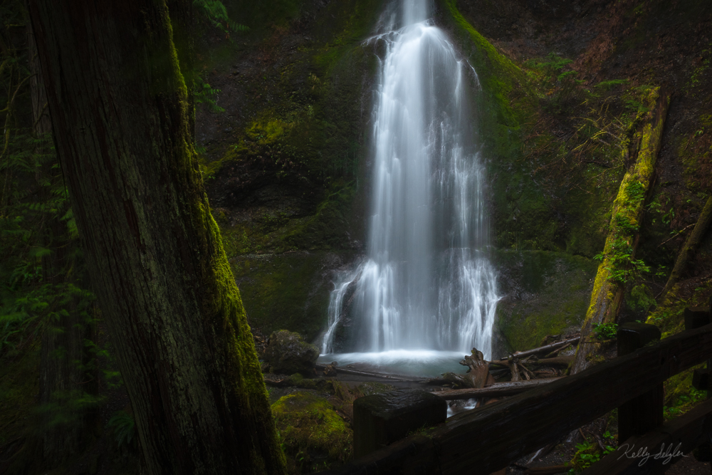 A magical little waterfall tucked away in the Olympic NP wilderness.